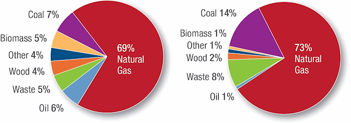 CHP Fuels